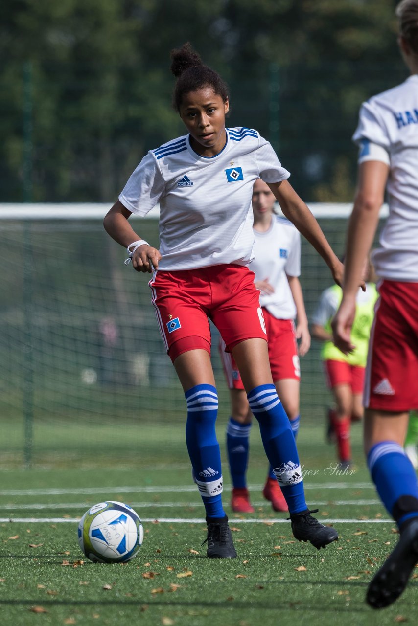 Bild 319 - C-Juniorinnen HSV - Walddoerfer : Ergebnis: 9:1